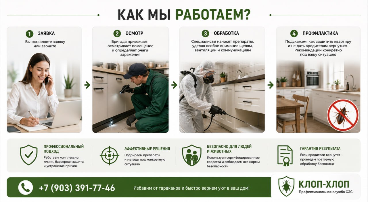 как мы работаем против тараканов